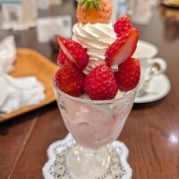 ゆきの