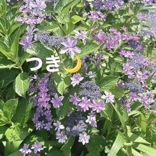 15時からです❤️