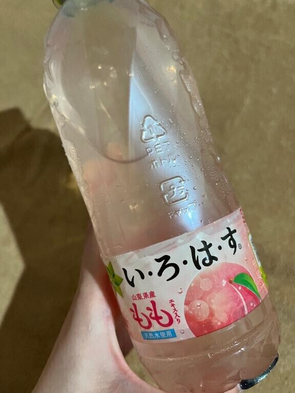 差し入れ???