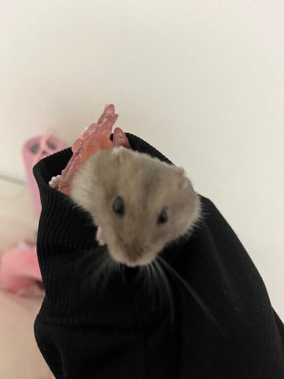 ごめんね