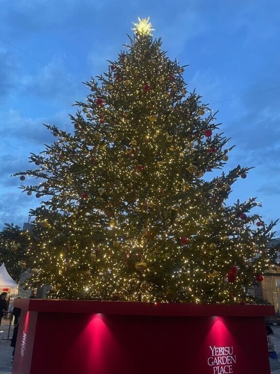 朝活してみない？