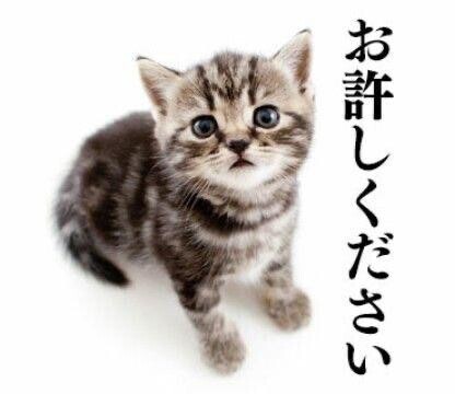 ごめんなさい??♂?