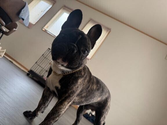 ビックリ??