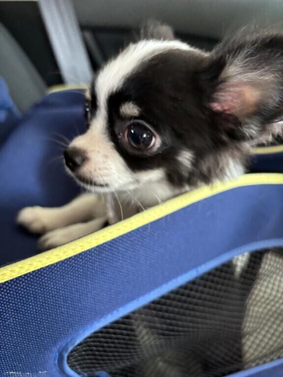 あと1枠空いてます??♀?