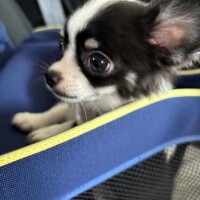 あと1枠空いてます??♀?