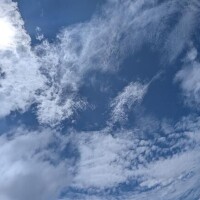 しゅ(｀･ω･´)ゞ