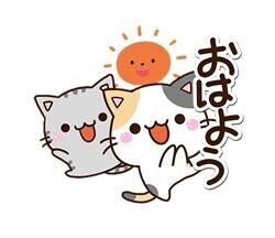 ??お休み明け??