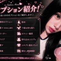 ? オプション紹介 ?
