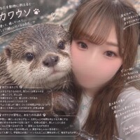 流行りのやつ?