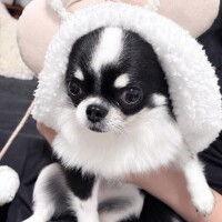 空きました??♀?