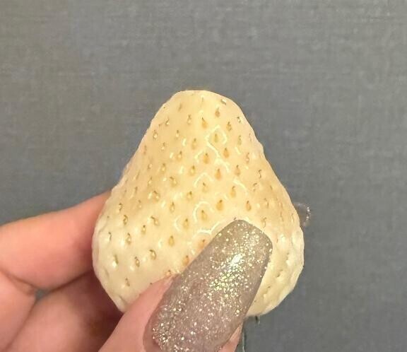 昨日はありがとう