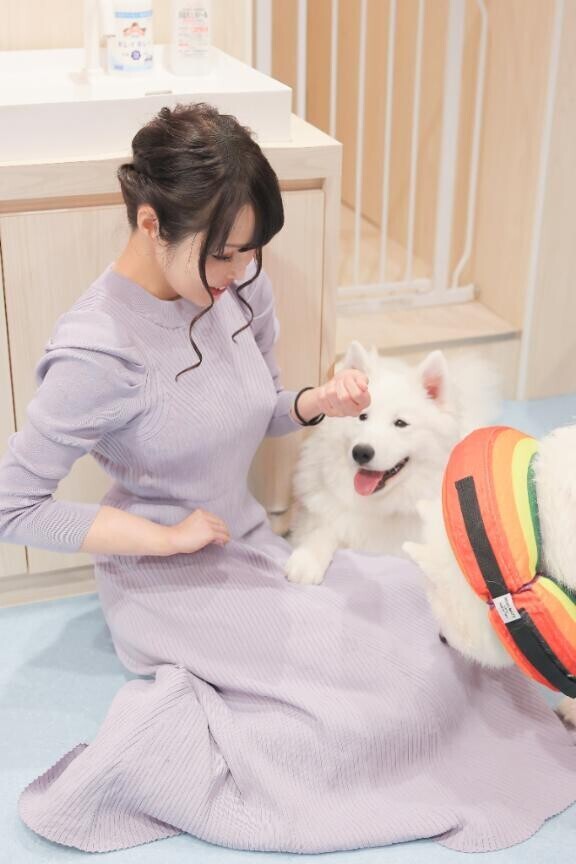 めっちゃ好きなやつ