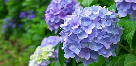 ??気付いたら6月入ってた∑(ﾟДﾟ)??