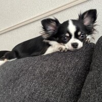 出勤追加しました??