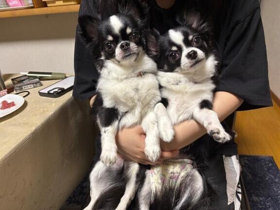 おはようございます??