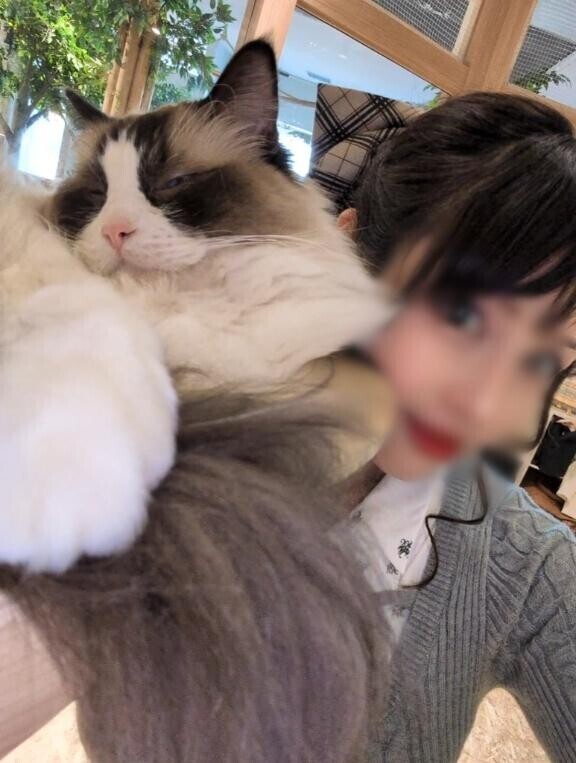 Aliさんとのお台場撮影?