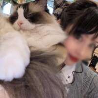 Aliさんとのお台場撮影?