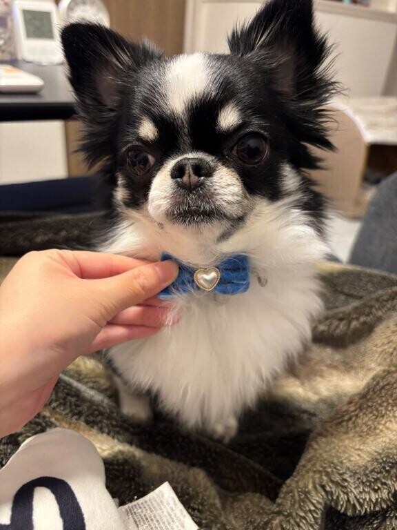 おはようございます??