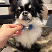 おはようございます??