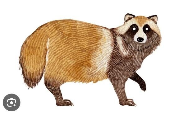 ????動くGIF????『ムジナキャッチャー』?3/20-9:00-本指名