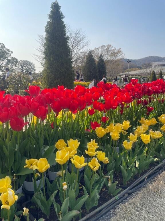 春感じたいのに?