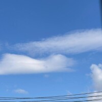 しゅっきーん！??