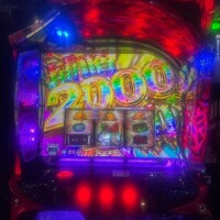 新波リア(単体AV女優)