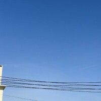 しゅっきーん???