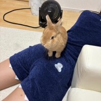 ?? ??-?ラストまで?? ??-?