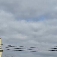 しゅっきーん??♂?????