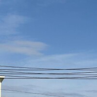 しゅっきーん??