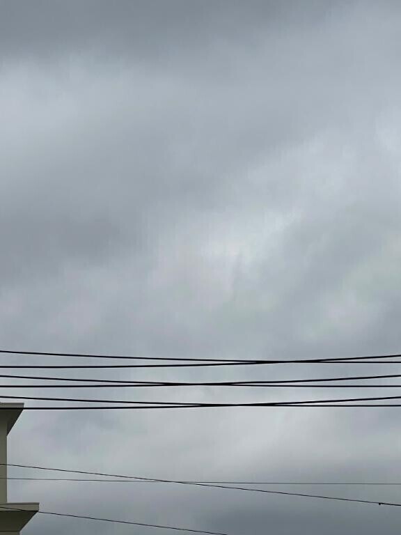 しゅっきーん??♀???