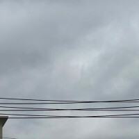 しゅっきーん??♀???