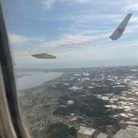 ｱﾘｶﾞﾄﾅ??????