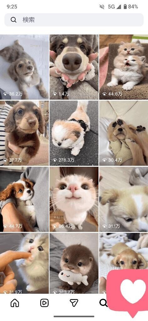 癒しを求めてるのかしら?