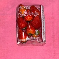 差し入れありがとう?