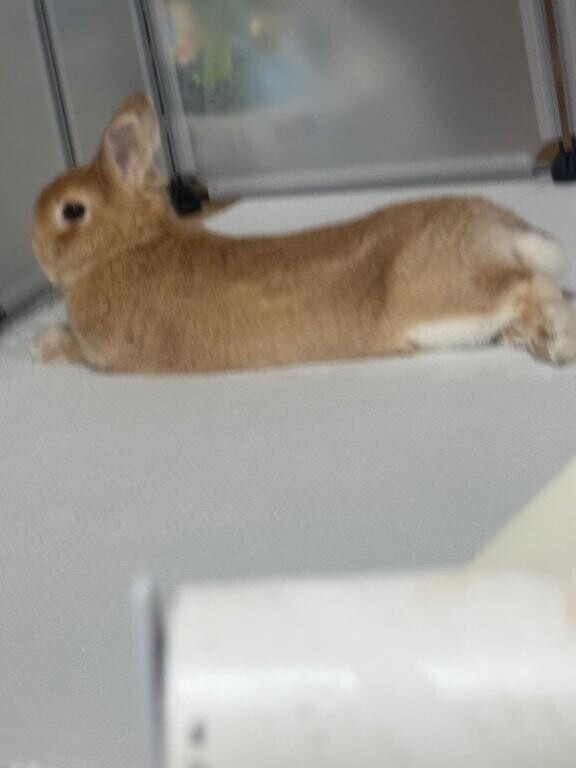 向かいますっ?