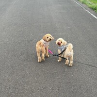 被害がありませんように…