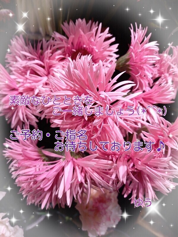 出勤中～っ( ≧∀≦)ノ