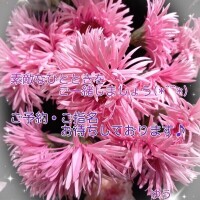 ゆう