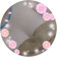 あゆ