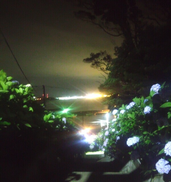 ８月１日出勤します☆