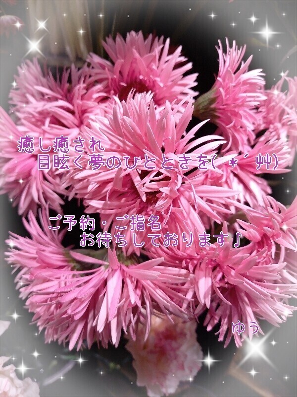 出勤してます～(*^ー^)ノ♪