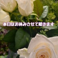 ゆう
