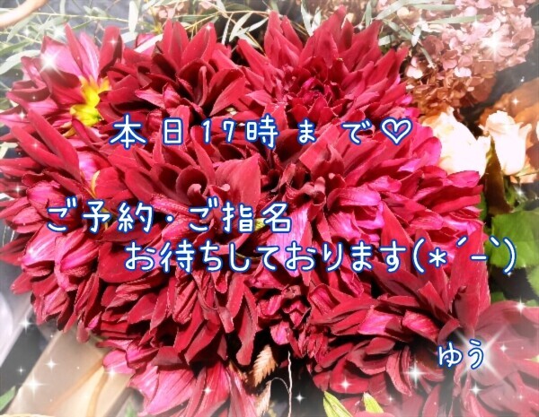 出勤しております(*´∀｀)ﾉ