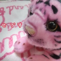 あゆ