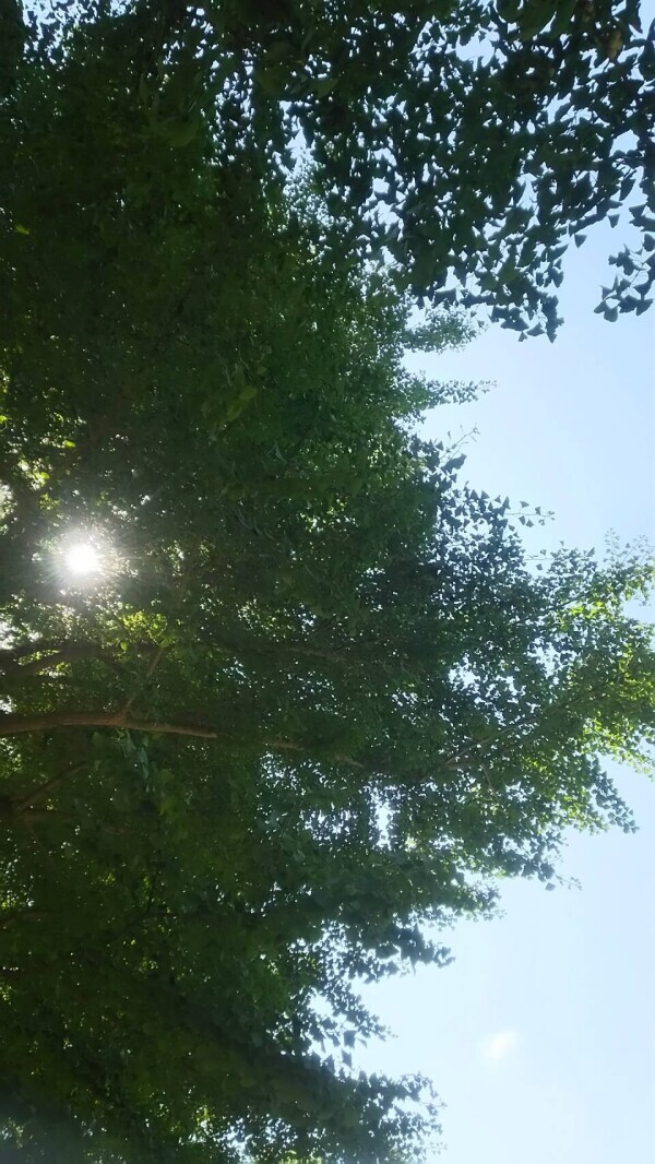 土曜日と日曜日