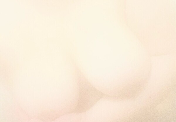 出勤しました！