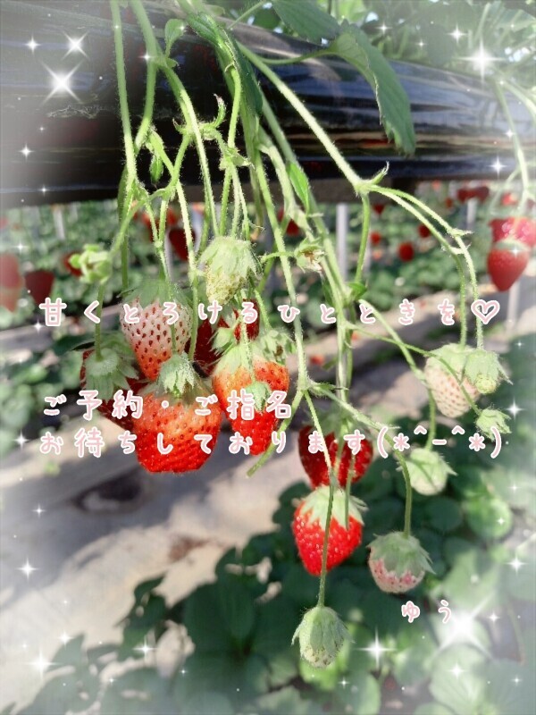 出勤中です～( ≧∀≦)ノ