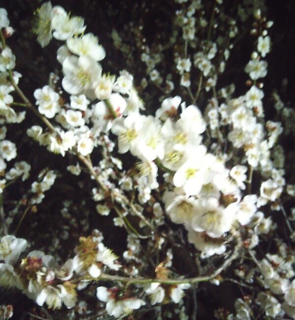 ３月もエチエチに頑張るね？